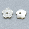 Natural White Shell Beads SSHEL-S260-011-2