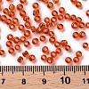 8/0 Glass Seed Beads X1-SEED-A005-3mm-29B-3