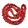 Natural Freshwater Shell Beads Strands SHEL-S278-071A-2