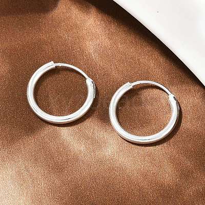 Brass Hoop Earrings EJEW-F378-02S-1