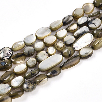 Natural White Shell Beads Strands SHEL-N036-21A-1