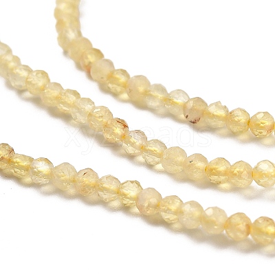 Heated Natural Citrine Beads Strands G-Z074-A03-01-1