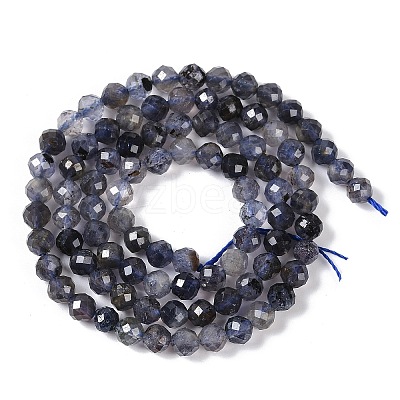Natural Iolite Beads Strands LS-G-G139-A11-03-1