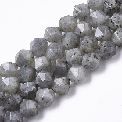 Natural Labradorite Beads Strands G-R465-33B-1