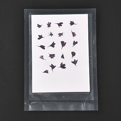 Cornflower Embossing Dry Flower DIY-K032-62D-1