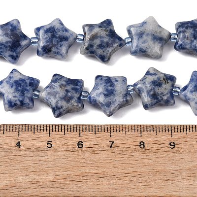 Natural Blue Spot Jasper Beads Strands G-K359-E11-1