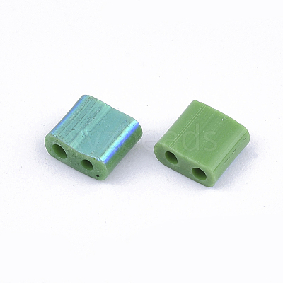 FGB 2-Hole Glass Seed Beads SEED-S031-L-047-R-1