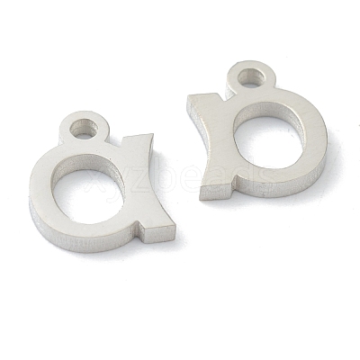Non-Tarnish 304 Stainless Steel Charms STAS-G244-01A-1