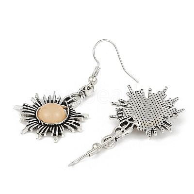 Alloy Resin Dangle Earrings EJEW-JE06370-01-1