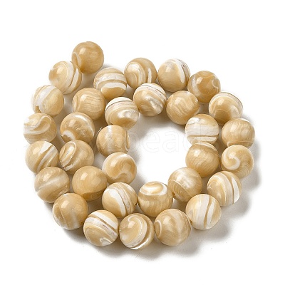 Natural Trochus Shell Beads Strands SHEL-K006-18C-1