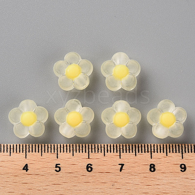 Transparent Acrylic Beads TACR-S152-06C-SS2105-1