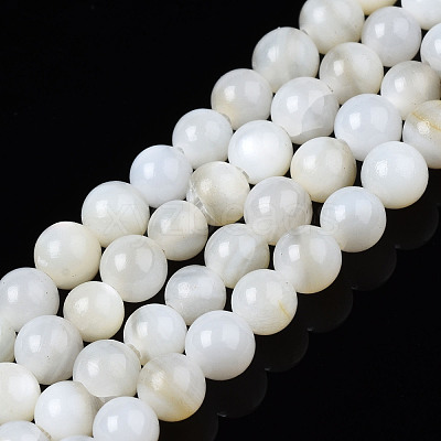 Natural Freshwater Shell Beads Strands BSHE-T009A-01A-1