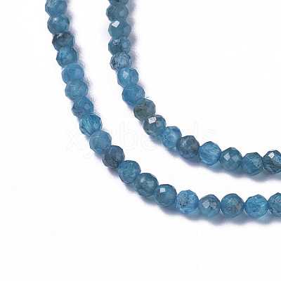 Natural Apatite Beads Strands G-F596-29-3mm-1