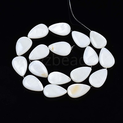 Natural Sea Shell Beads Strands SSHEL-Q296-43-1
