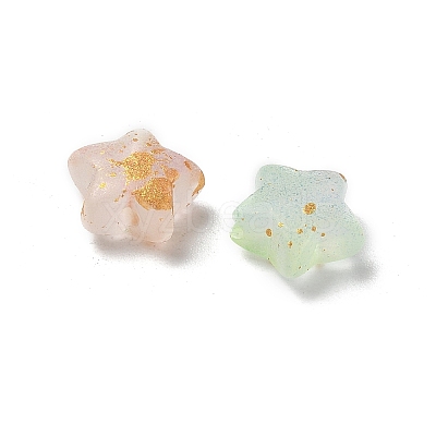 Frosted Acrylic Charms OACR-M023-04A-1