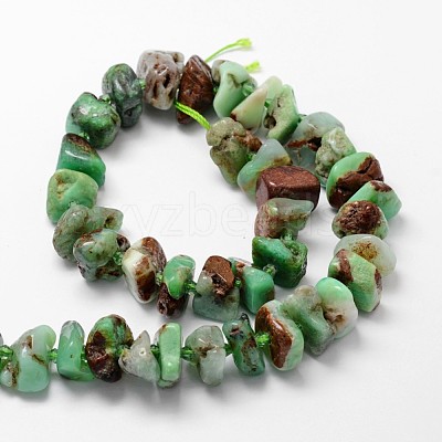 Natural Serpentine Bead Strands G-H044-07-1