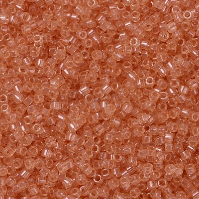 MIYUKI Delica Beads SEED-X0054-DB1411-1
