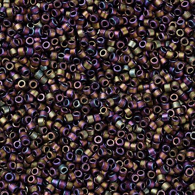 MIYUKI Delica Beads Small X-SEED-J020-DBS1055-1