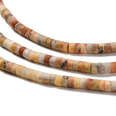 Natural Crazy Agate Beads Strands G-P575-B37-4x2mm-1