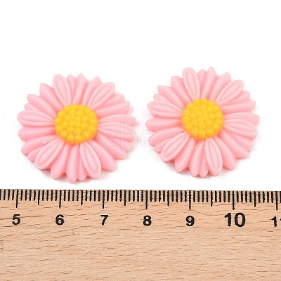 Opaque Resin Cabochons LS-RESI-XCP0002-48-1