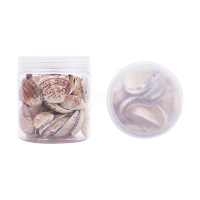 1 Box Scallop Seashells Clam Shell Dyed Beads with Holes for Craft Making 40-50pcs BSHE-YW0001-01-1