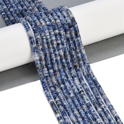 Natural Blue Spot Jasper Beads Strands G-H230-56-1