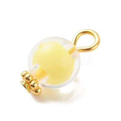 Transparent Acrylic Pendants PALLOY-JF01834-08-1
