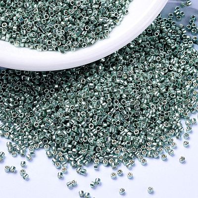 MIYUKI Delica Beads X-SEED-J020-DB1846-1