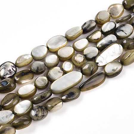 Natural White Shell Beads Strands SHEL-N036-21A-1