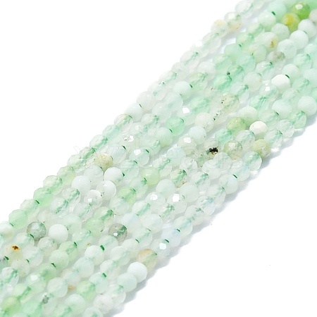 Natural Chrysoprase Beads Strands G-P457-A01-23-1