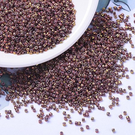 MIYUKI Delica Beads Small X-SEED-J020-DBS1013-1