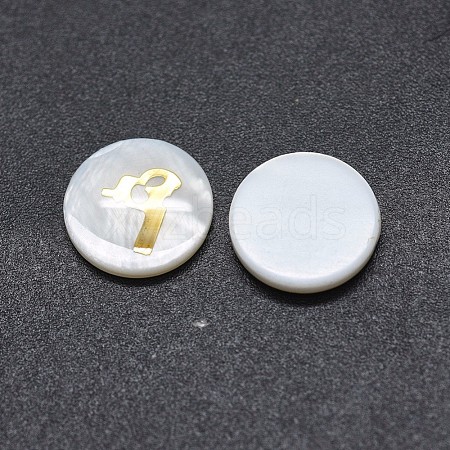 Shell Cabochons SSHEL-E568-A09-1