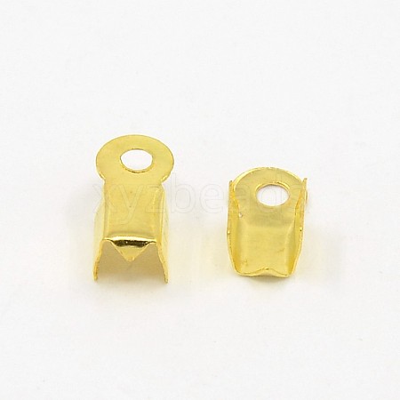 Iron Folding Crimp Ends E033Y-G-1