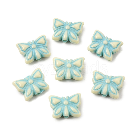 Painted Opaque Acrylic Beads AC-CBAA127-02E-1