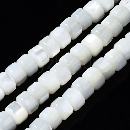 Natural Trochid Shell/Trochus Shell Beads Strands SSHEL-S266-016A-02-1