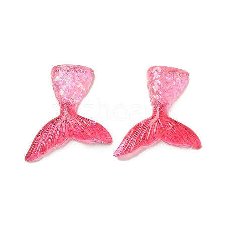 Resin Cabochons RESI-R456-02D-1