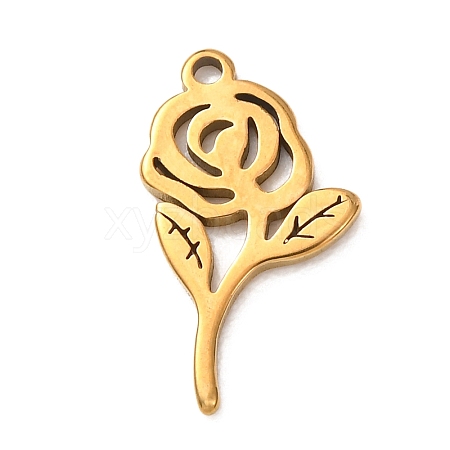 304 Stainless Steel Pendants STAS-Z204-01G-03-1