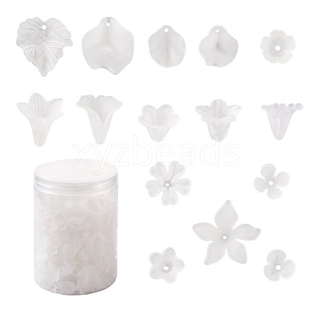 Craftdady 450Pcs 15 Styles Transparent Acrylic Pendants & Bead Caps & Beads FACR-CD0001-01-1