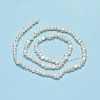 Natural Cultured Freshwater Pearl Beads Strands PEAR-A005-05I-01-3