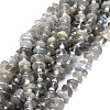 Natural Labradorite Beads Strands G-E569-J08-1