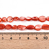 Natural White Shell Beads Strands SHEL-N036-21F-4