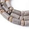 Natural Silver Leaf Jasper Beads Strands G-L528-02-2