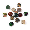 Fashewelry 14Pcs 7 Styles Natural Mixed Stone Cabochons G-FW0001-38-2