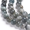 Natural Eagle Eye Beads Strands G-I281-02-4mm-2