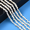Natural Cultured Freshwater Pearl Beads Strands PEAR-N014-03A-6