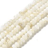 Natural Freshwater Shell Beads Strands BSHE-E026-15B-01-2