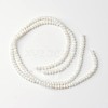 Dyed Natural Freshwater Shell Rondelle Bead Strands X-BSHE-O016-19D-2