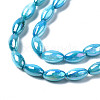 Freshwater Shell Beads Strands SHEL-N026-141C-3