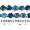 Natural Apatite Beads Strands G-C116-A28-01-5