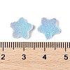 Imitation Candy Food Style Resin Cabochons RESI-R461-02D-3